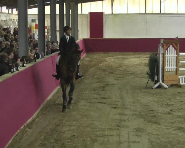 Reitturnier Trier - Hofgut Monaise 2016