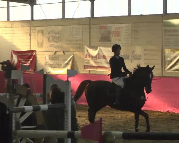 Reitturnier Trier - Hofgut Monaise 2016