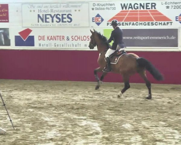 Reitturnier Trier - Hofgut Monaise 2016