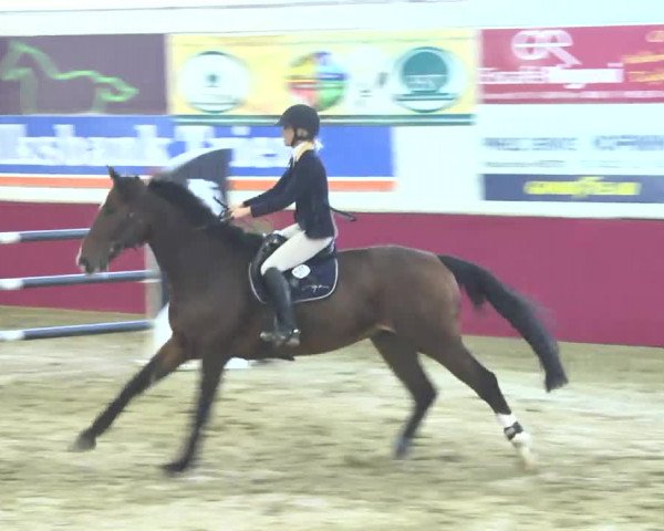 Reitturnier Trier - Hofgut Monaise 2016