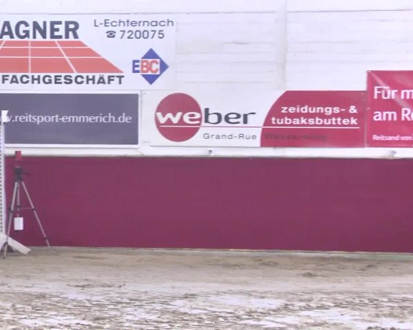Reitturnier Trier - Hofgut Monaise 2016