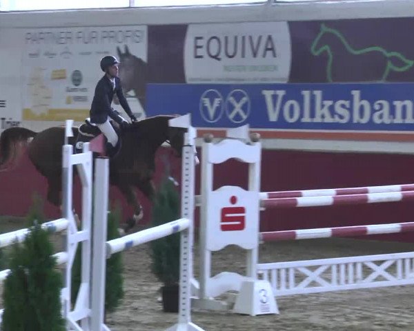 Reitturnier Trier - Hofgut Monaise 2016