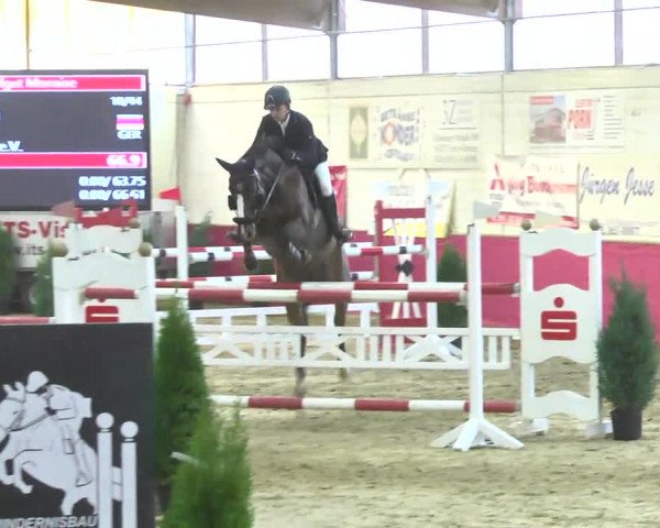 Reitturnier Trier - Hofgut Monaise 2016