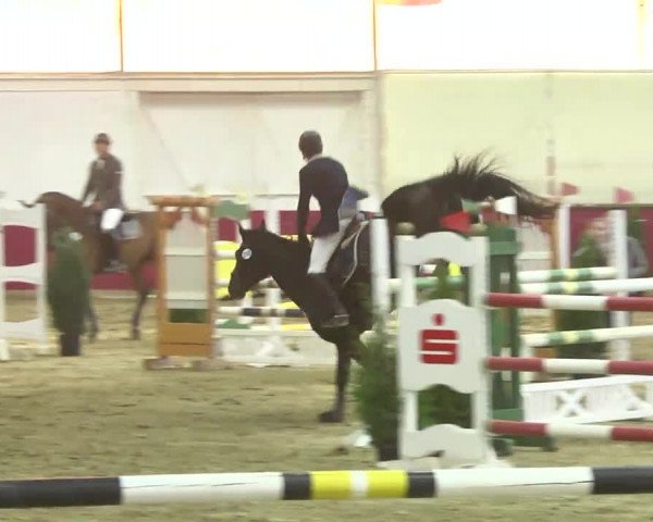 Reitturnier Trier - Hofgut Monaise 2016