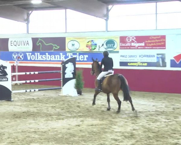 Reitturnier Trier - Hofgut Monaise 2016