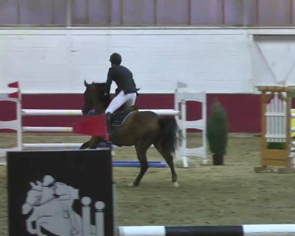 Reitturnier Trier - Hofgut Monaise 2016