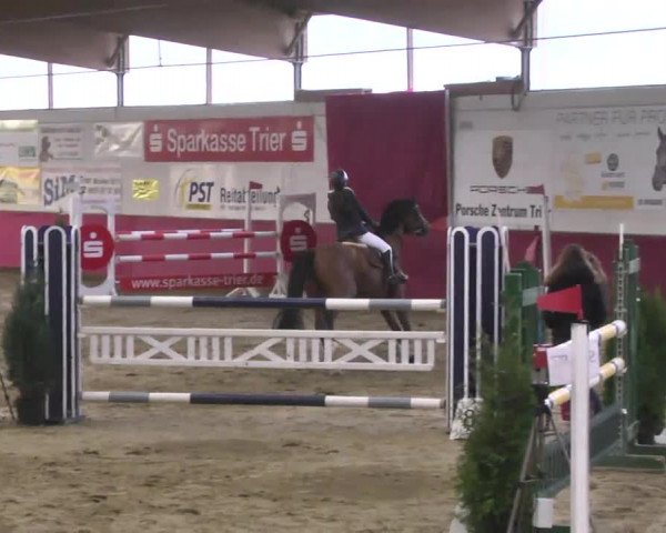 Reitturnier Trier - Hofgut Monaise 2016
