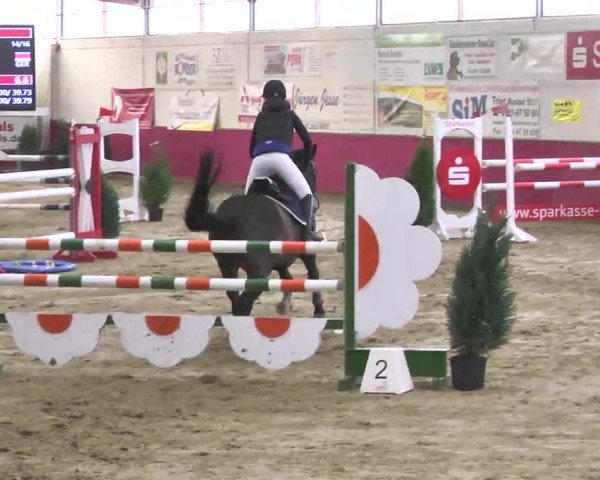 Reitturnier Trier - Hofgut Monaise 2016