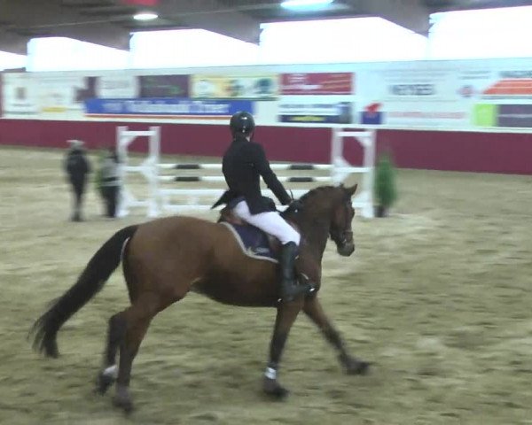 Reitturnier Trier - Hofgut Monaise 2016