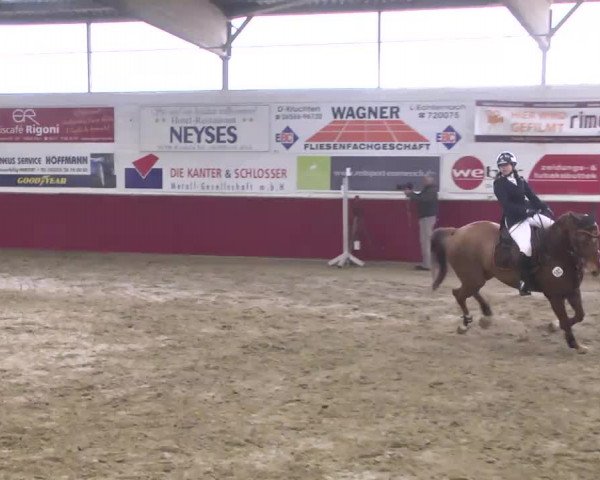 Reitturnier Trier - Hofgut Monaise 2016