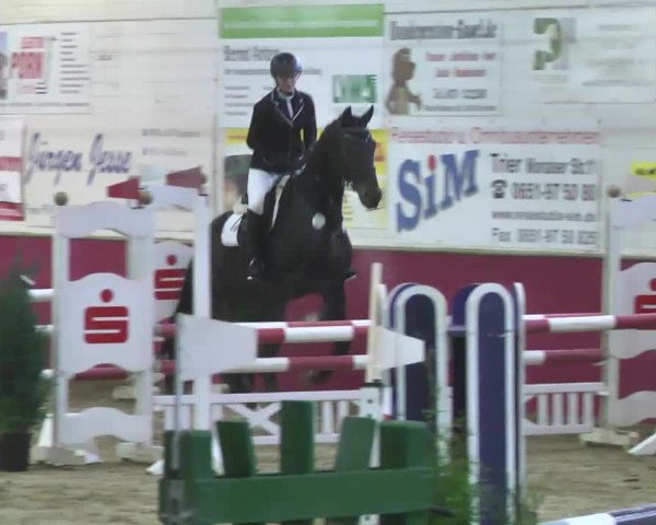 Reitturnier Trier - Hofgut Monaise 2016