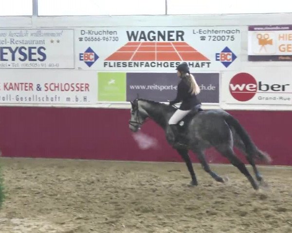Reitturnier Trier - Hofgut Monaise 2016