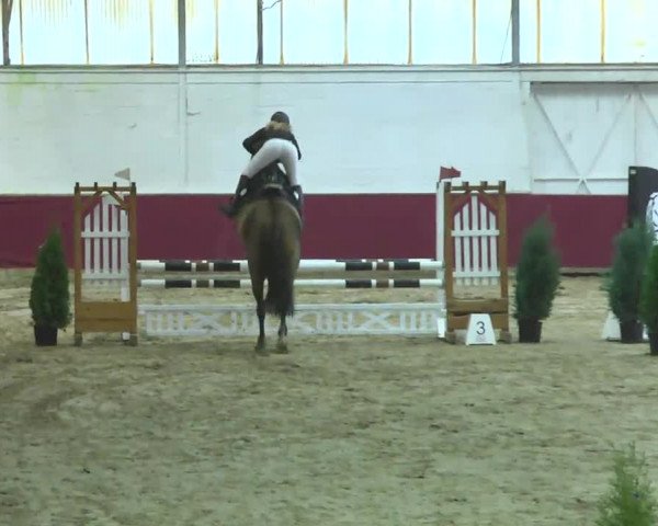 Reitturnier Trier - Hofgut Monaise 2016