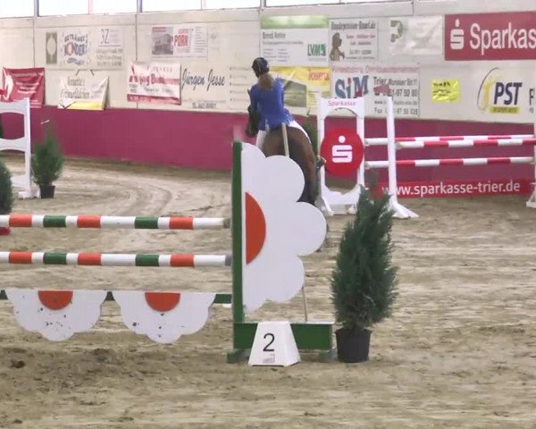 Reitturnier Trier - Hofgut Monaise 2016
