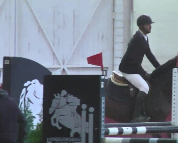 Reitturnier Trier - Hofgut Monaise 2016