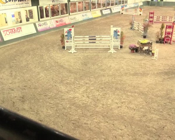 16. Salzkottener Pferdefestival 2016