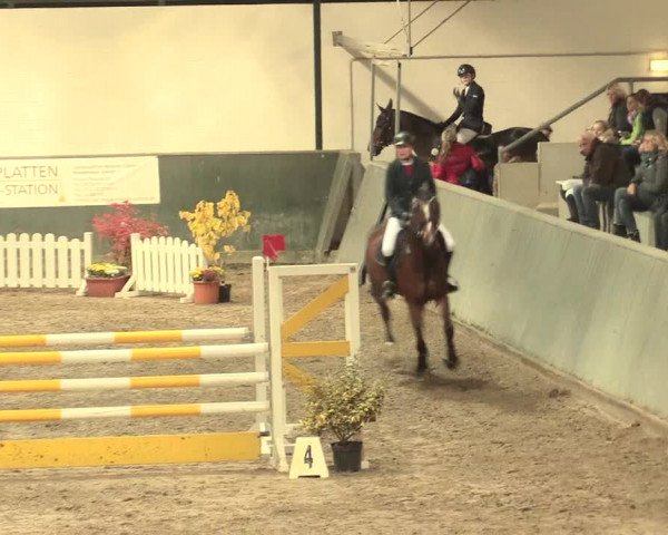 16. Salzkottener Pferdefestival 2016