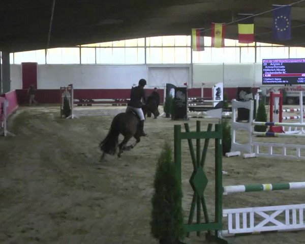 Reitturnier Trier - Hofgut Monaise 2016
