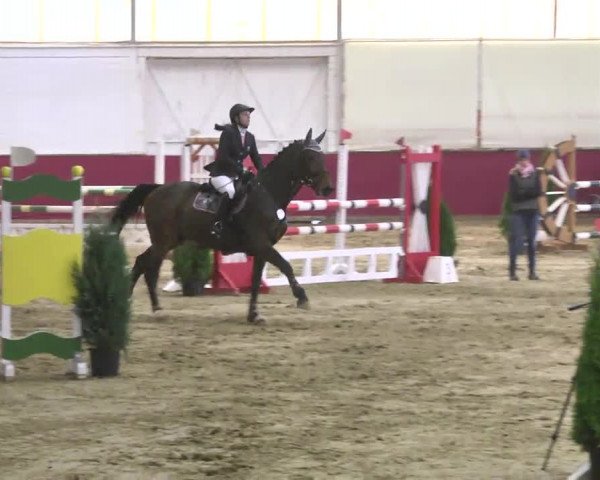 Reitturnier Trier - Hofgut Monaise 2016
