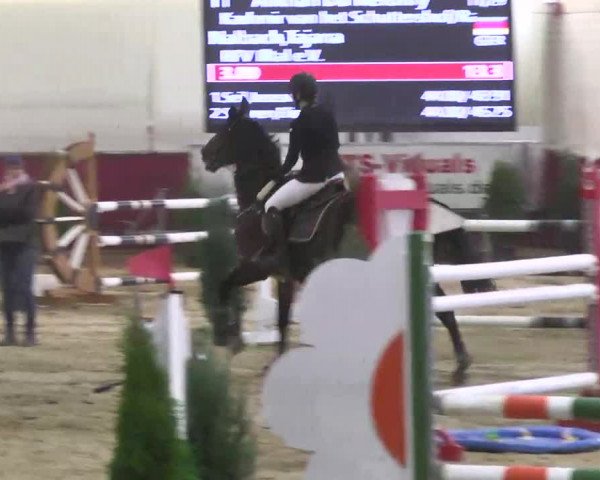 Reitturnier Trier - Hofgut Monaise 2016