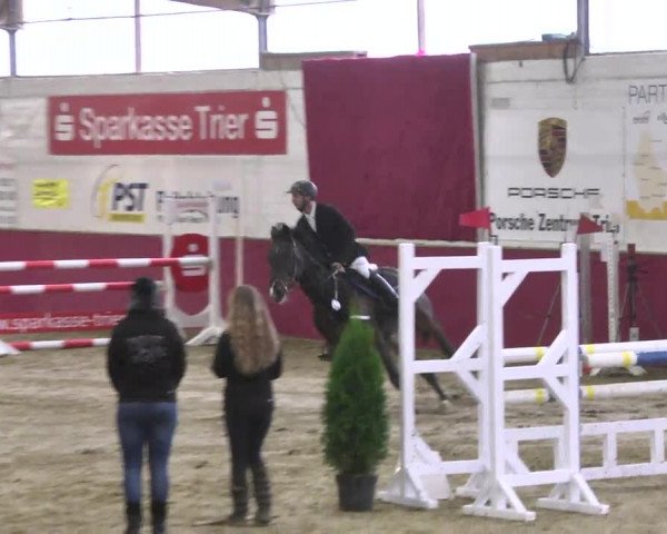 Reitturnier Trier - Hofgut Monaise 2016