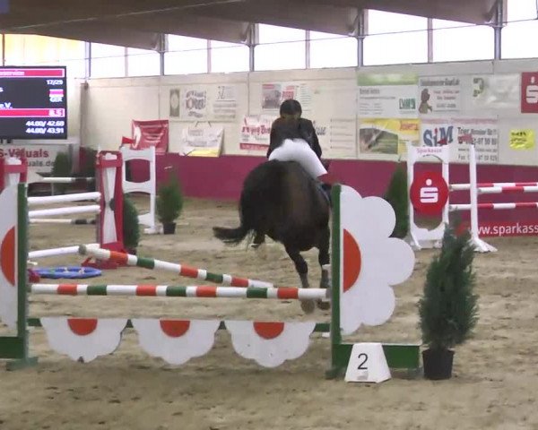 Reitturnier Trier - Hofgut Monaise 2016