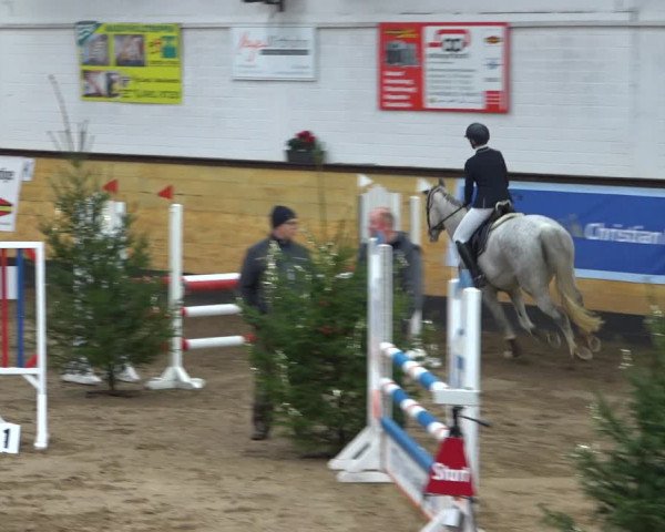 Reitturnier Heide 2021