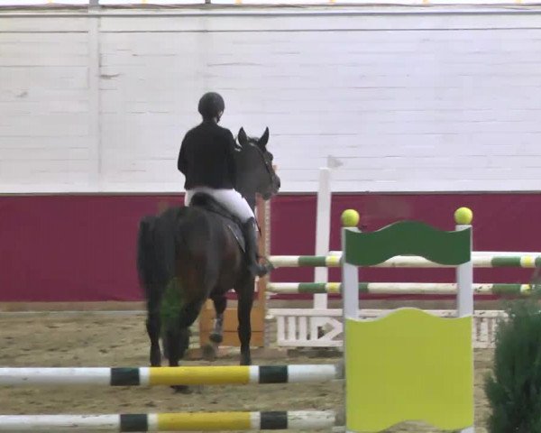 Reitturnier Trier - Hofgut Monaise 2016