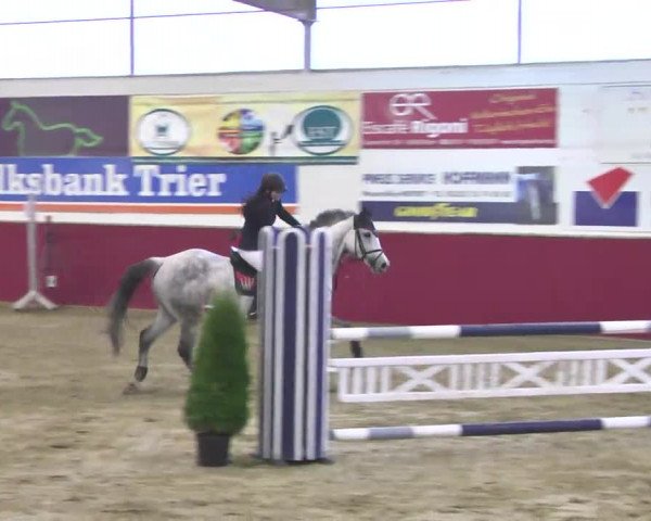 Reitturnier Trier - Hofgut Monaise 2016