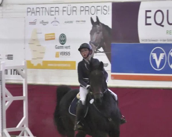 Reitturnier Trier - Hofgut Monaise 2016