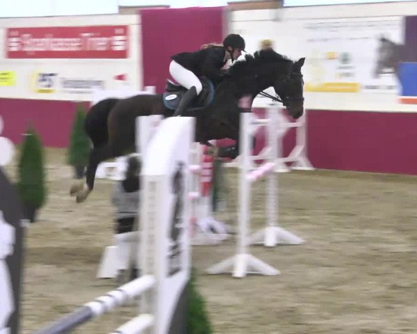 Reitturnier Trier - Hofgut Monaise 2016
