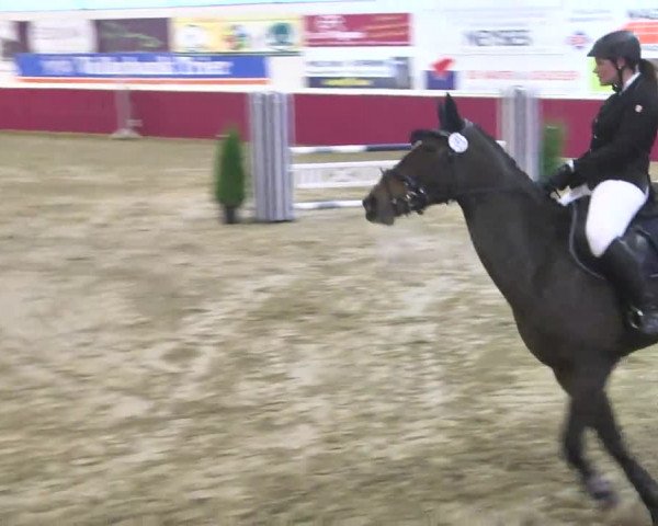 Reitturnier Trier - Hofgut Monaise 2016