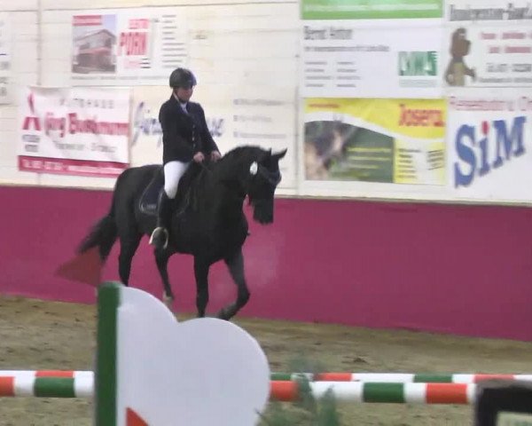 Reitturnier Trier - Hofgut Monaise 2016
