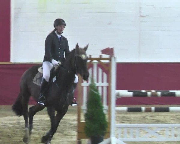 Reitturnier Trier - Hofgut Monaise 2016