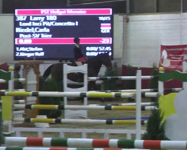 Reitturnier Trier - Hofgut Monaise 2016