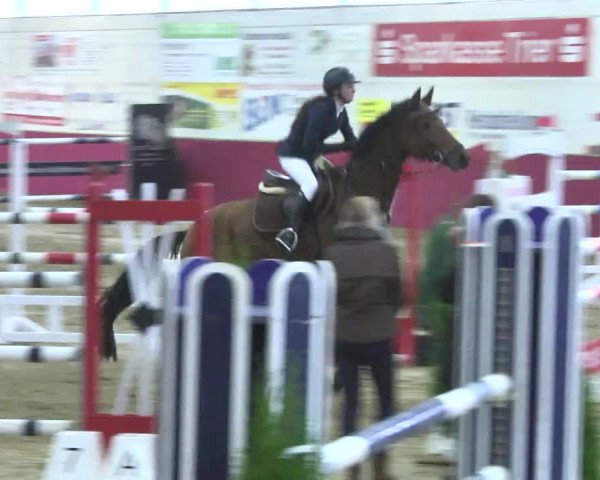 Reitturnier Trier - Hofgut Monaise 2016