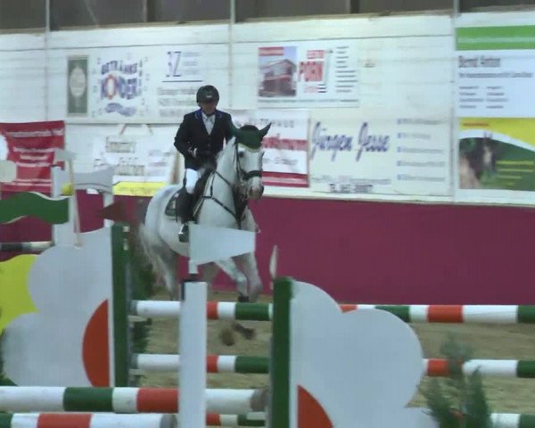 Reitturnier Trier - Hofgut Monaise 2016