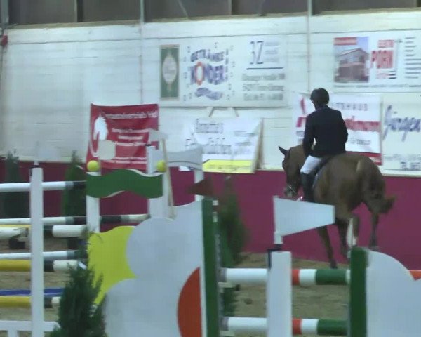 Reitturnier Trier - Hofgut Monaise 2016