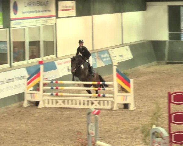 16. Salzkottener Pferdefestival 2016
