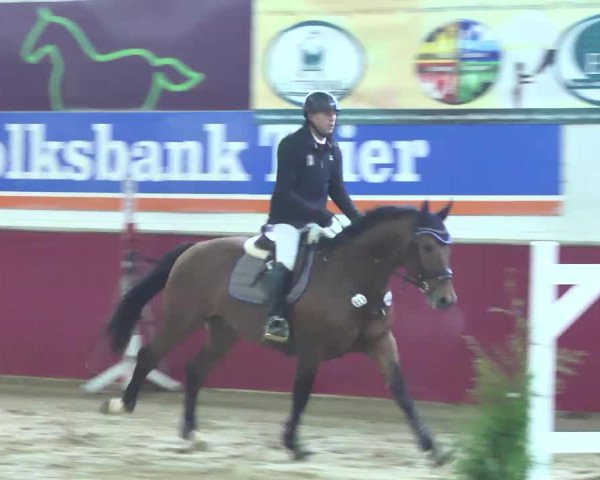 Reitturnier Trier - Hofgut Monaise 2016