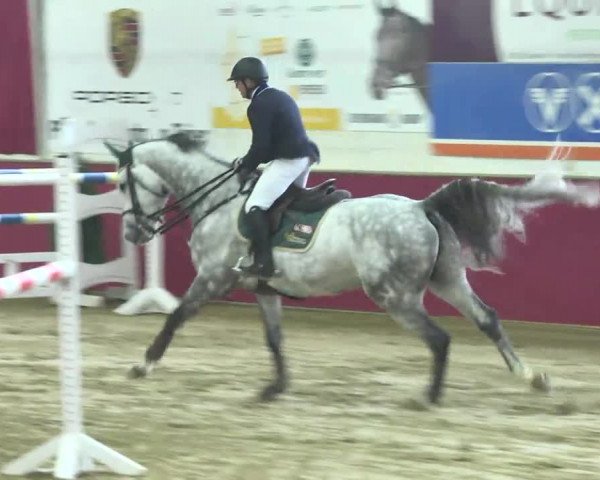 Reitturnier Trier - Hofgut Monaise 2016