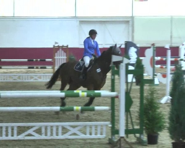 Reitturnier Trier - Hofgut Monaise 2016
