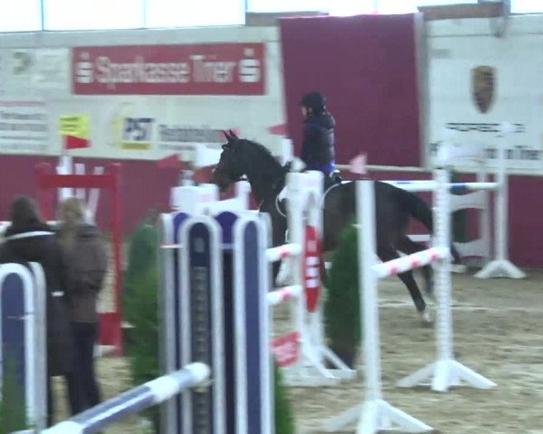 Reitturnier Trier - Hofgut Monaise 2016