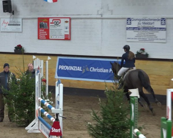 Reitturnier Heide 2021
