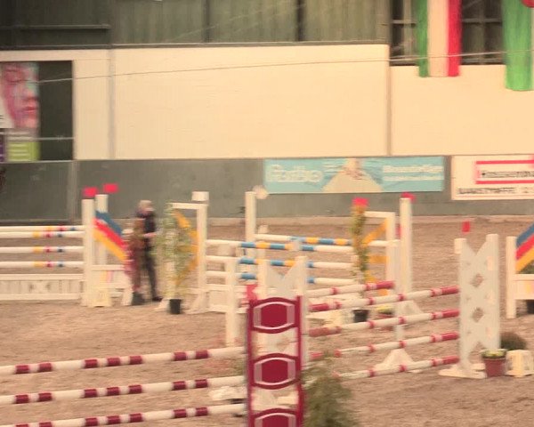 16. Salzkottener Pferdefestival 2016