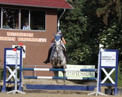 Springpferd Carducci 10 (Rheinländer, 2010, von Cassone)