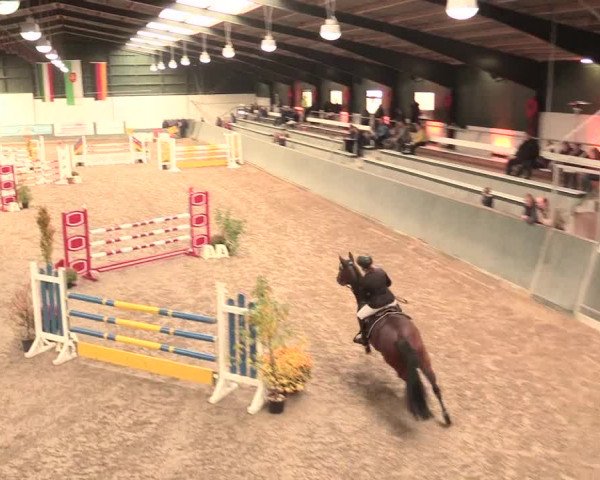 16. Salzkottener Pferdefestival 2016