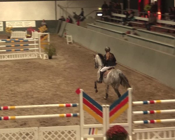 16. Salzkottener Pferdefestival 2016