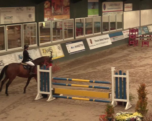 16. Salzkottener Pferdefestival 2016