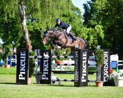 jumper Quintaro 9 (Hanoverian, 2010, from Quintender 2)